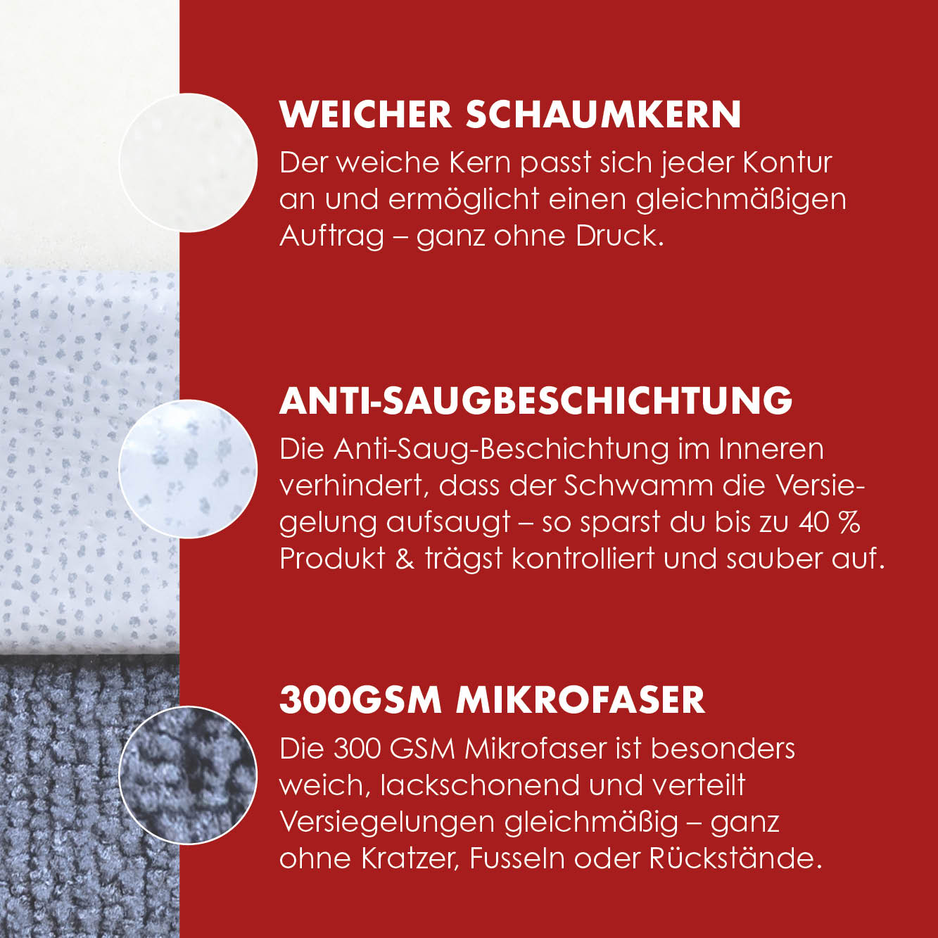 grafik vom schwamm im querschnitt erklaert