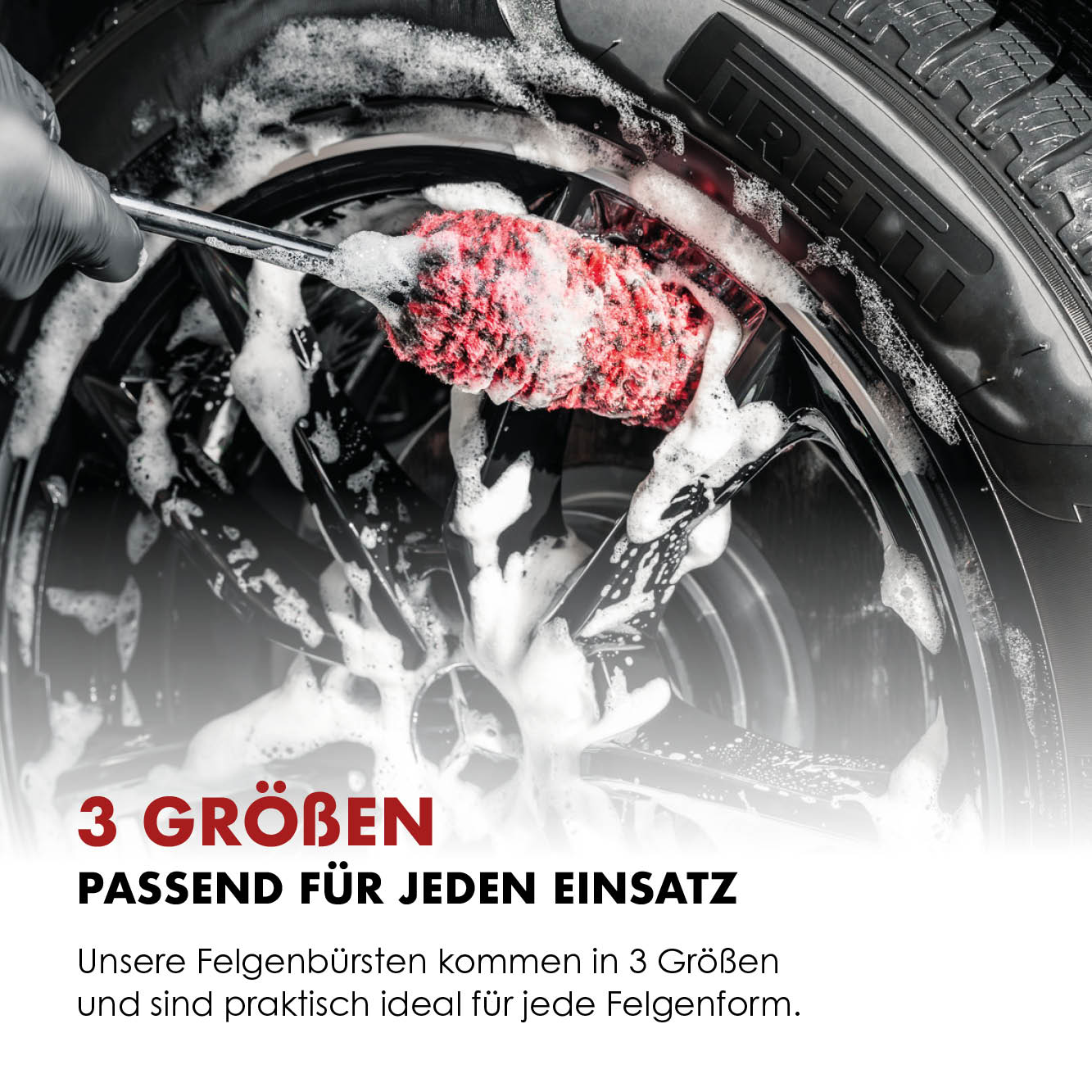 felgenbuerste waehrend reinigung mit text